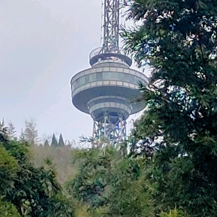 张家老三