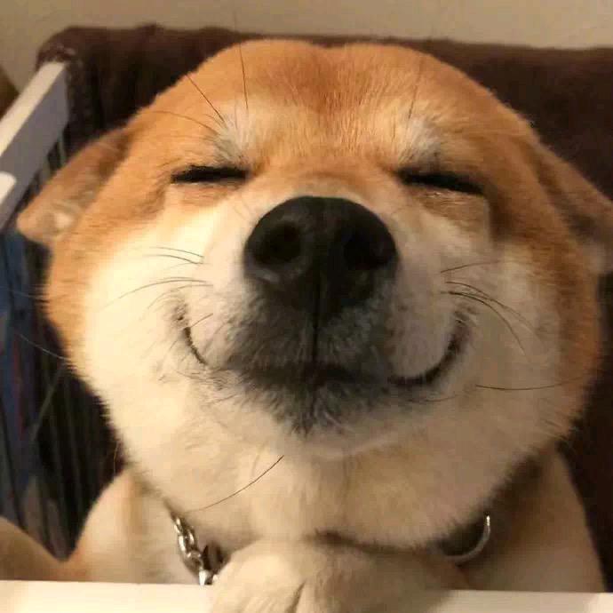 十七日尾灯^_^