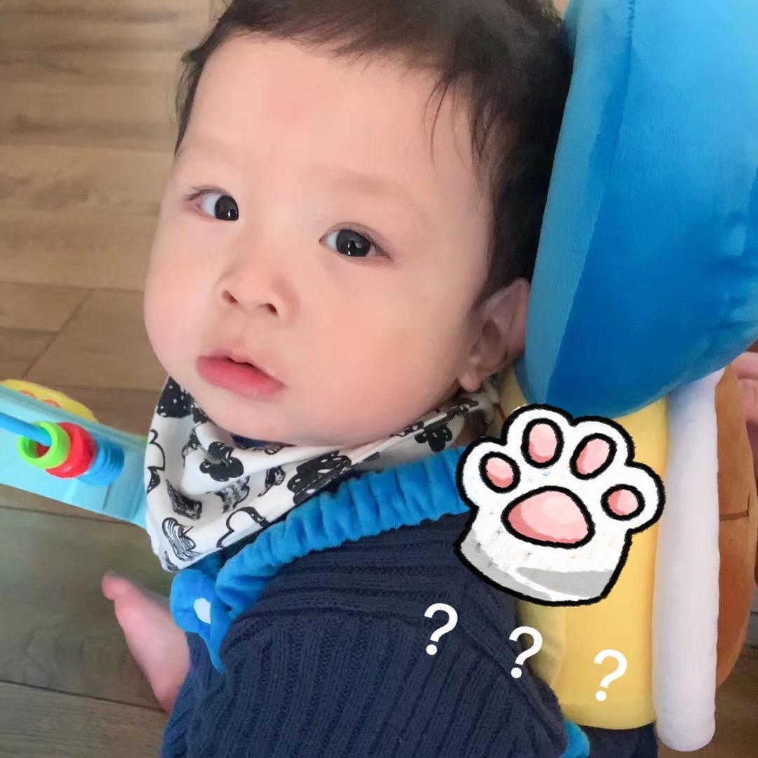 劳斯莱斯的莱斯