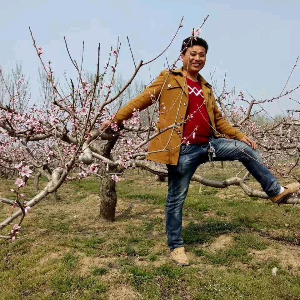 玉皇庙家美涂料厂