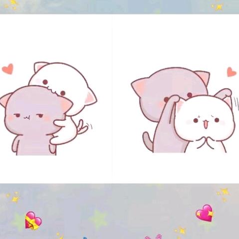 丸丸