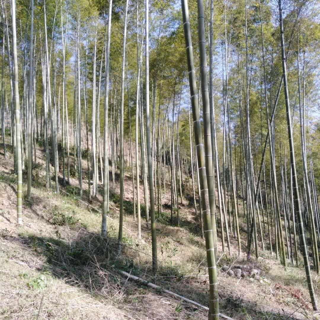 一切靠自己