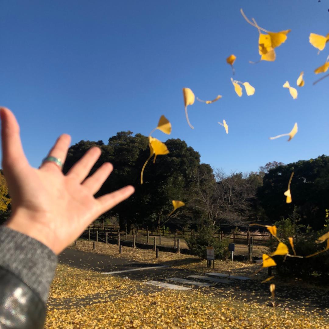 行楽