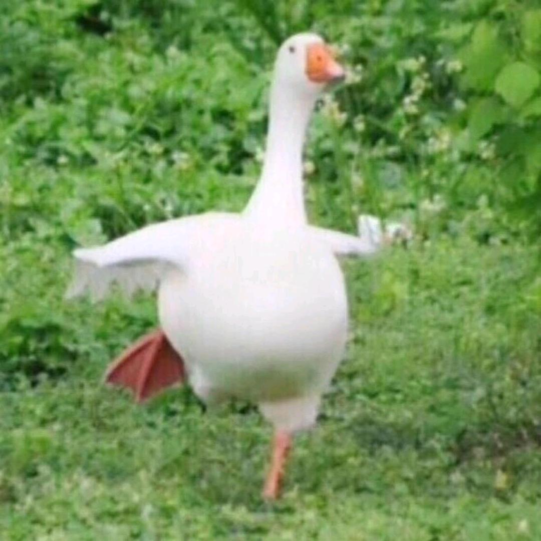挺好