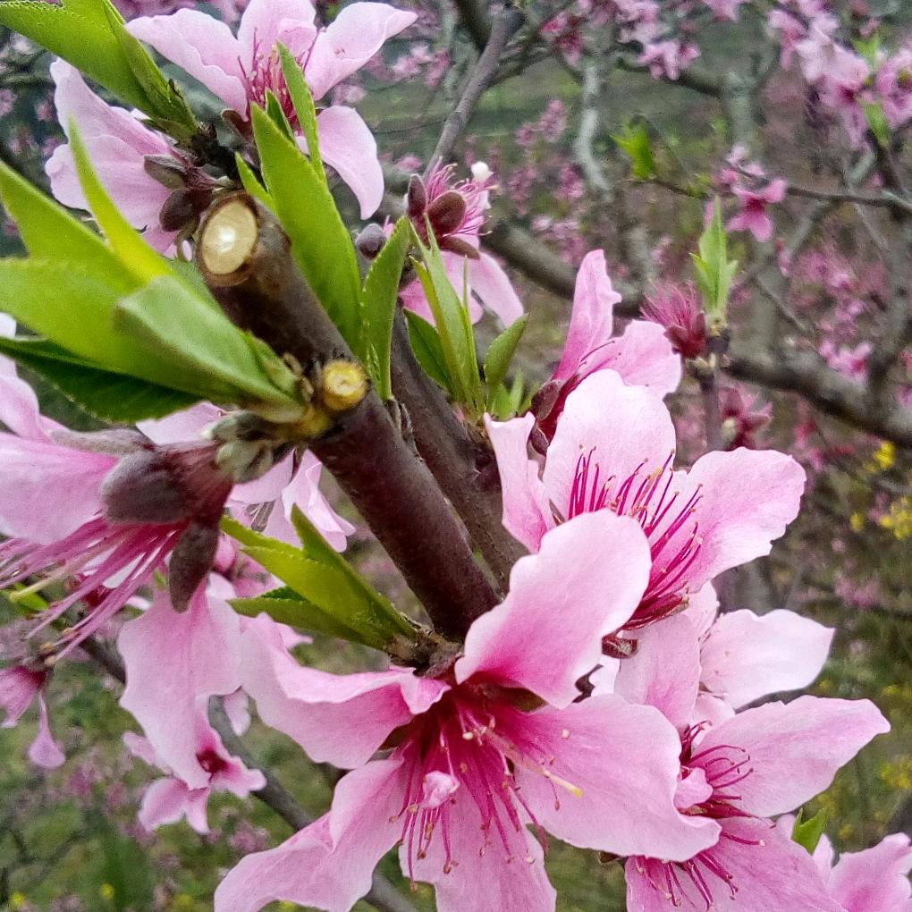 雅安市名山区安顺泰电器有限公司