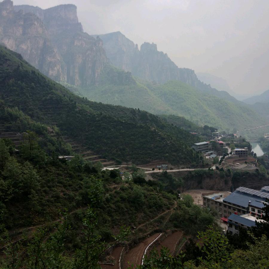 鱼儿