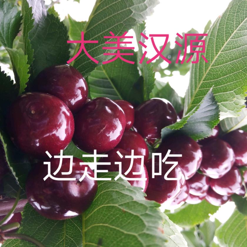 王顶强