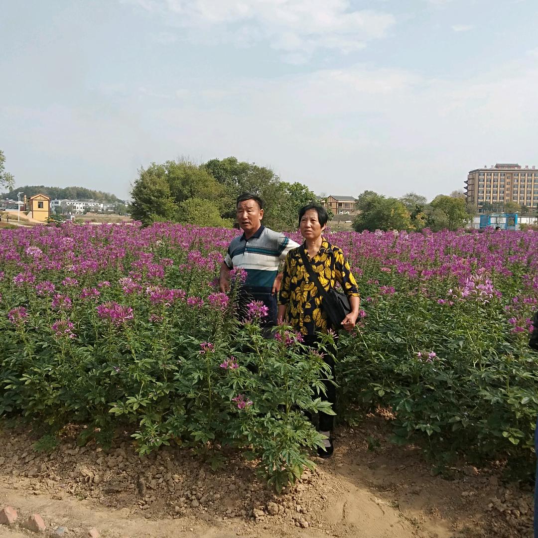 用户6005176230719老二