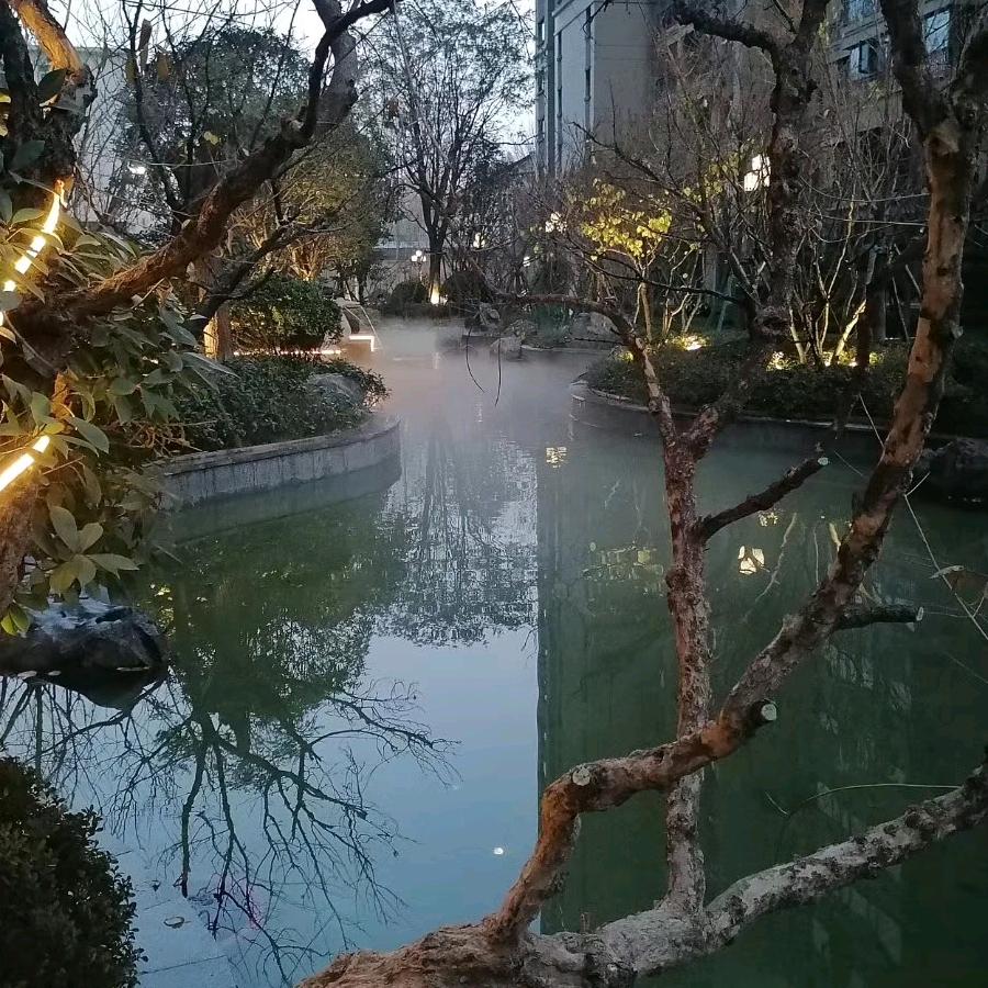 光碟修复机(原名:回望过去:陕西澄城)