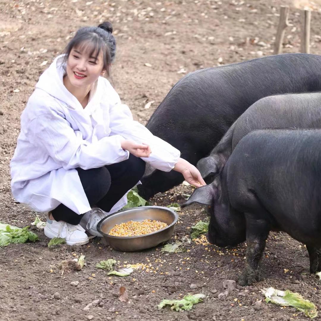 🎀栾川猪小妹儿