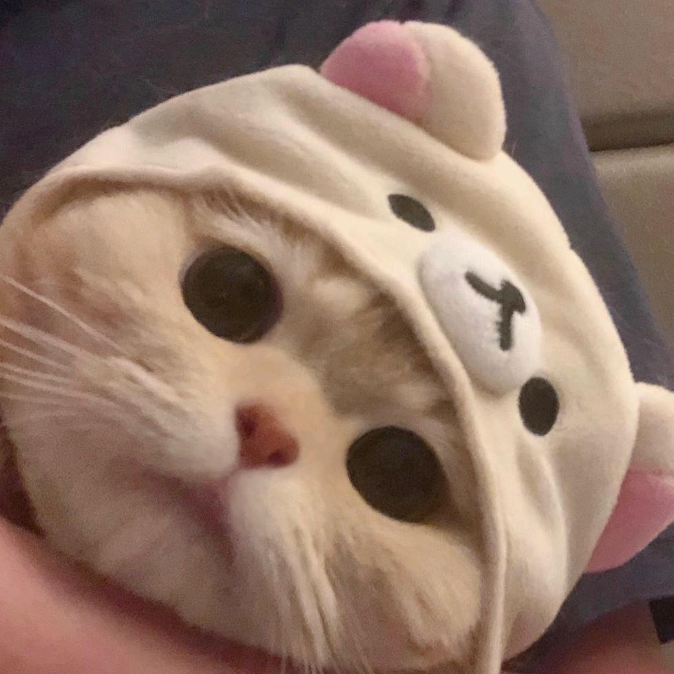 哈？