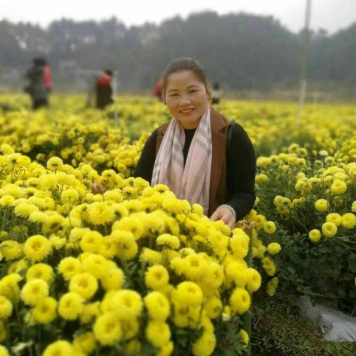 细妹（农场主）