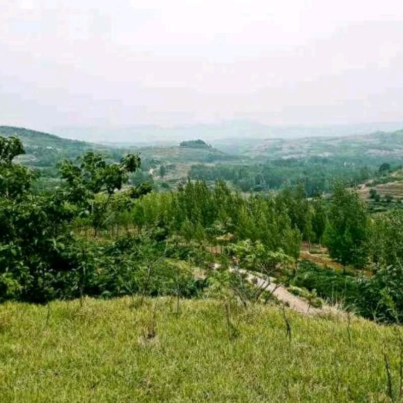 易人国学