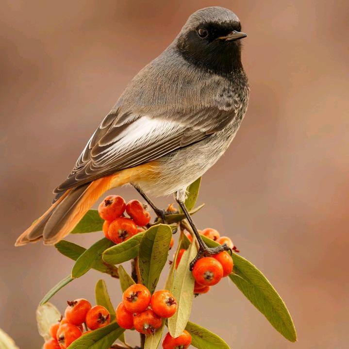 💛伊生💔有你💜