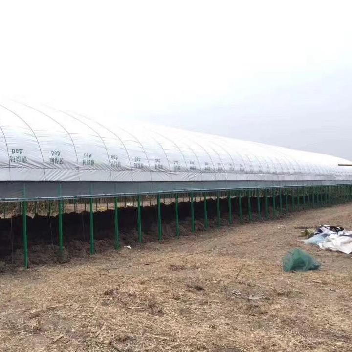 怀远鑫达顺温室大棚有限公司