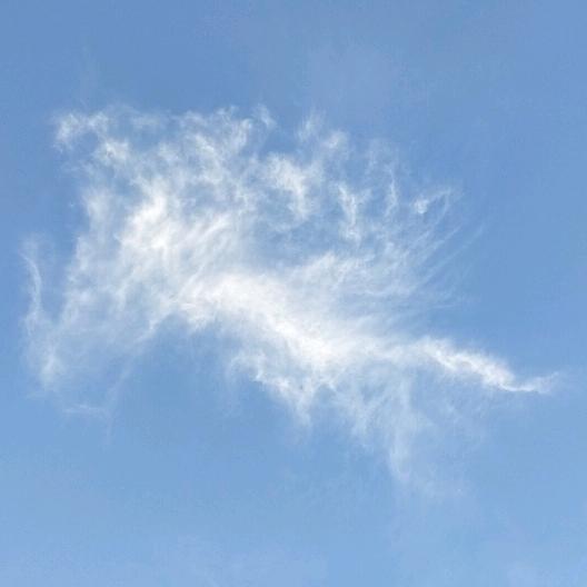 秦豫