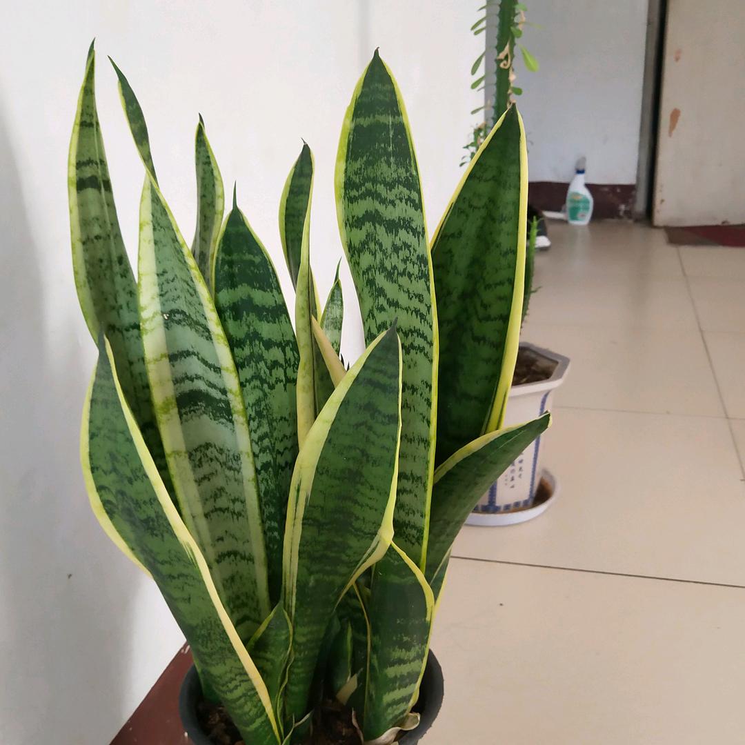 用户9895127824138雨后彩虹