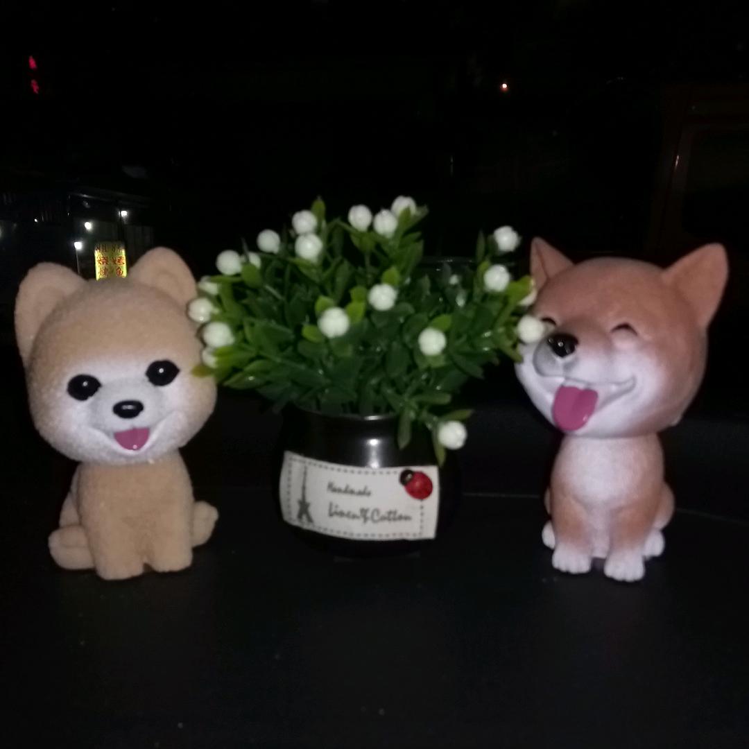 芯