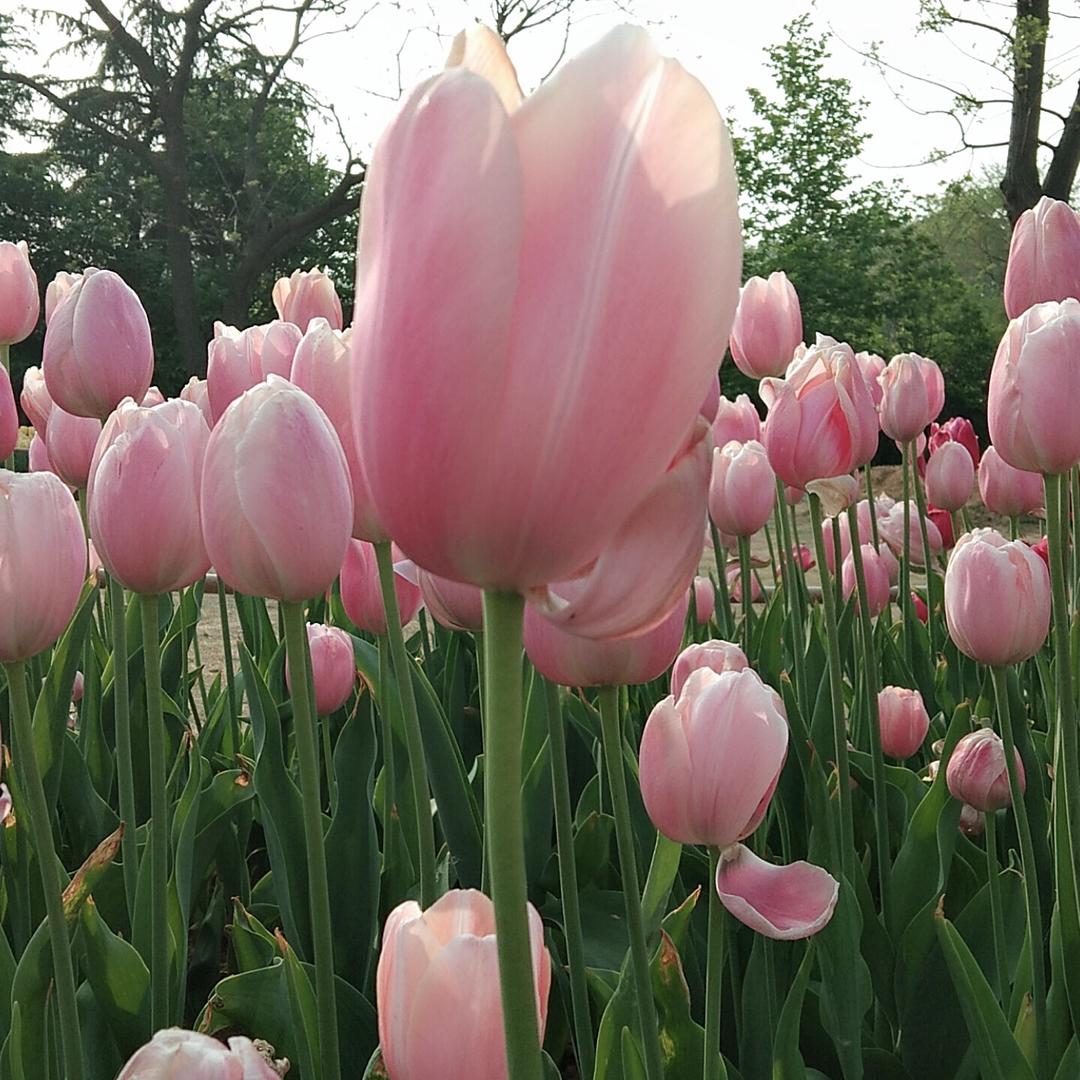 轻轻💓静静💗悄悄🍀