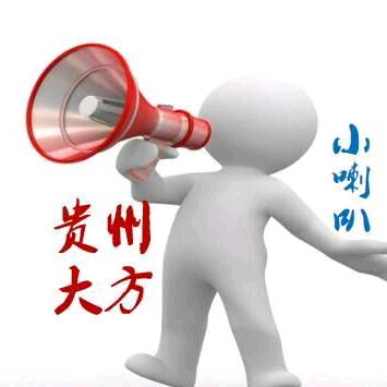 贵州大方小喇叭