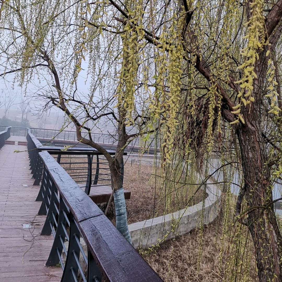 ～知足常乐～