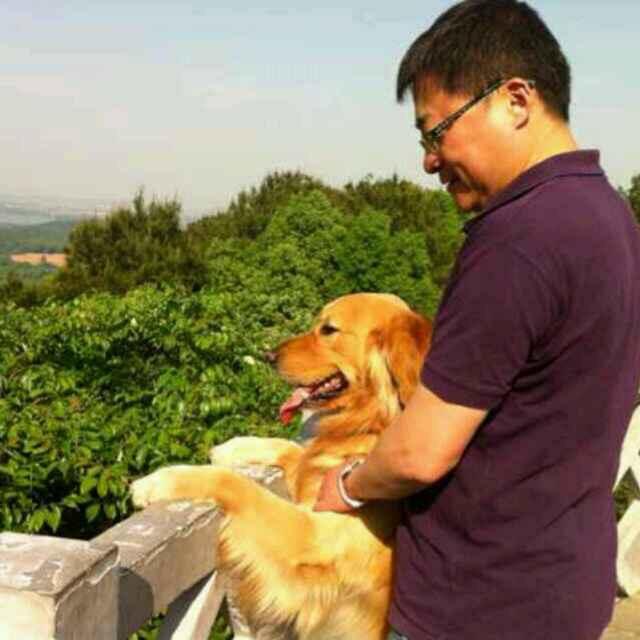 行走的任