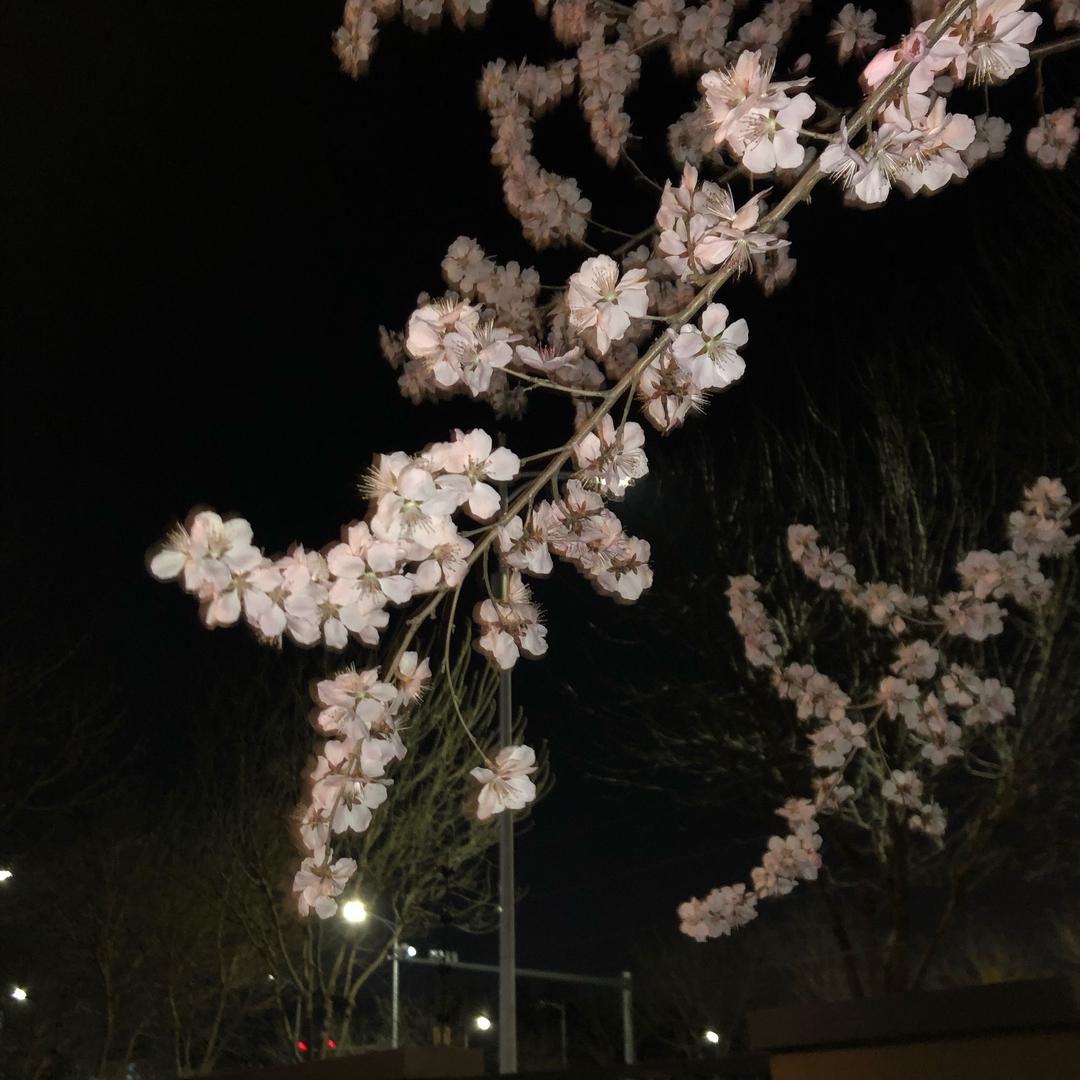 你在何地