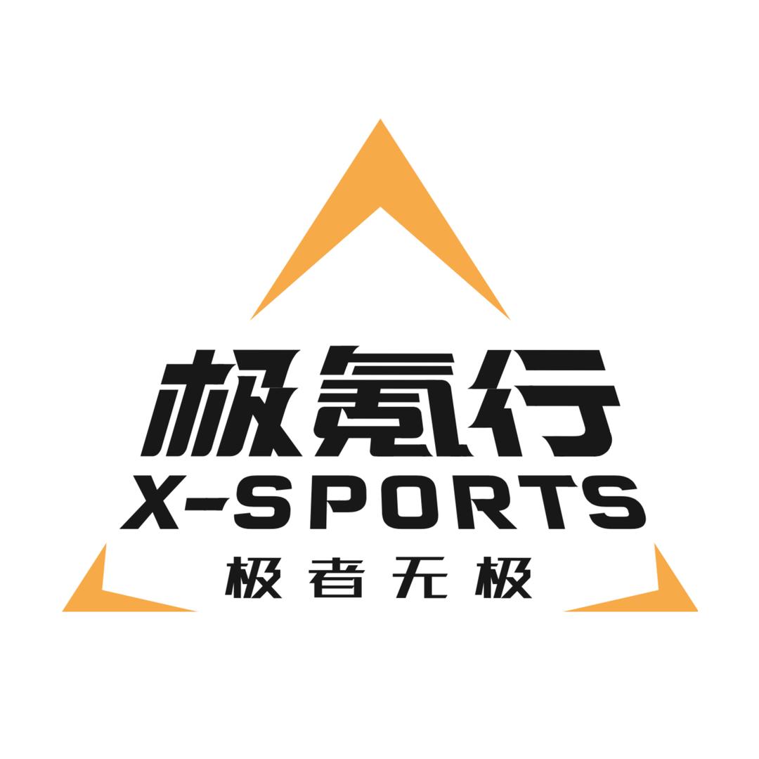极氪行