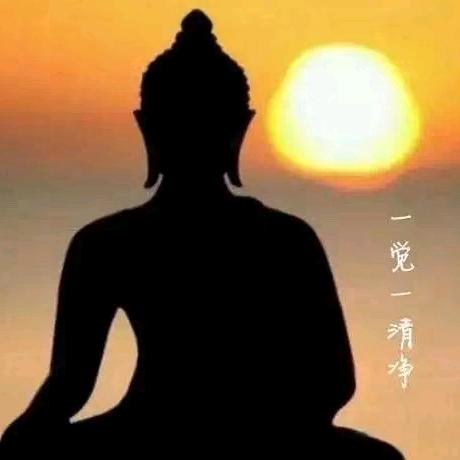 一木一浮生
