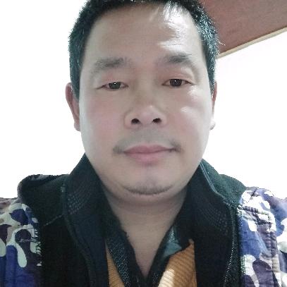 谁说梅花没有泪