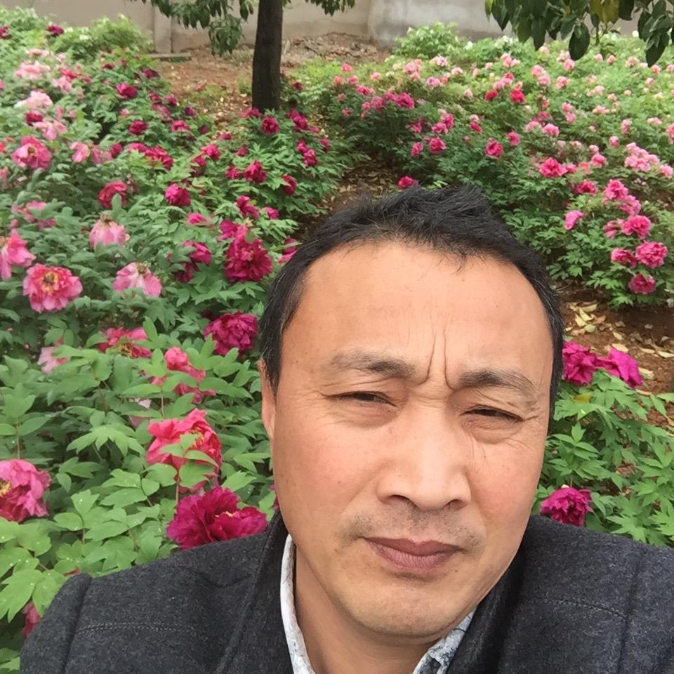 钓鱼竿