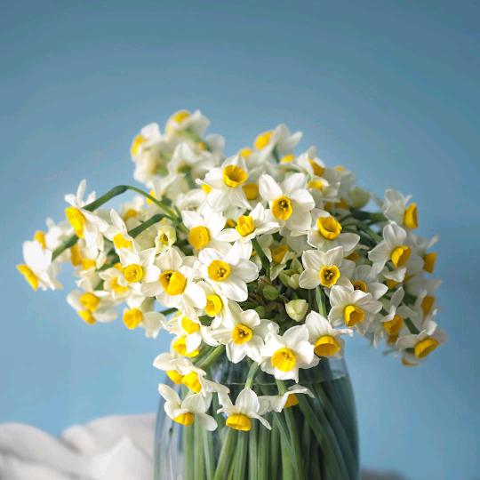 余生请多指教，