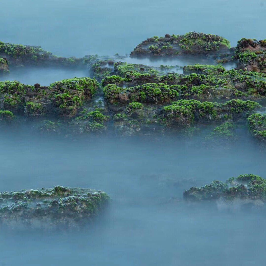 茶道