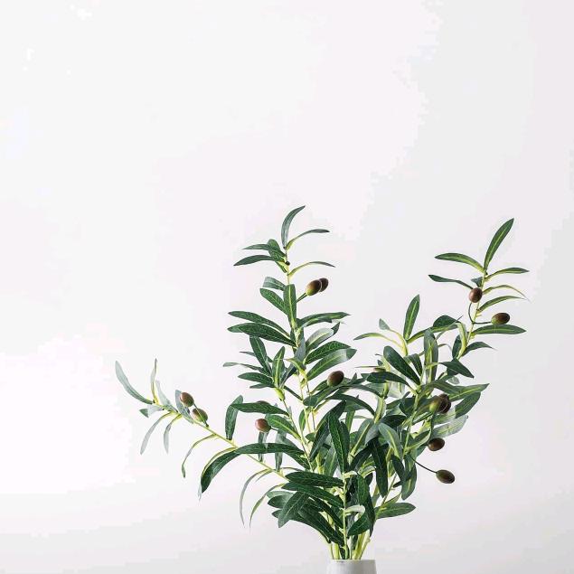 云淡