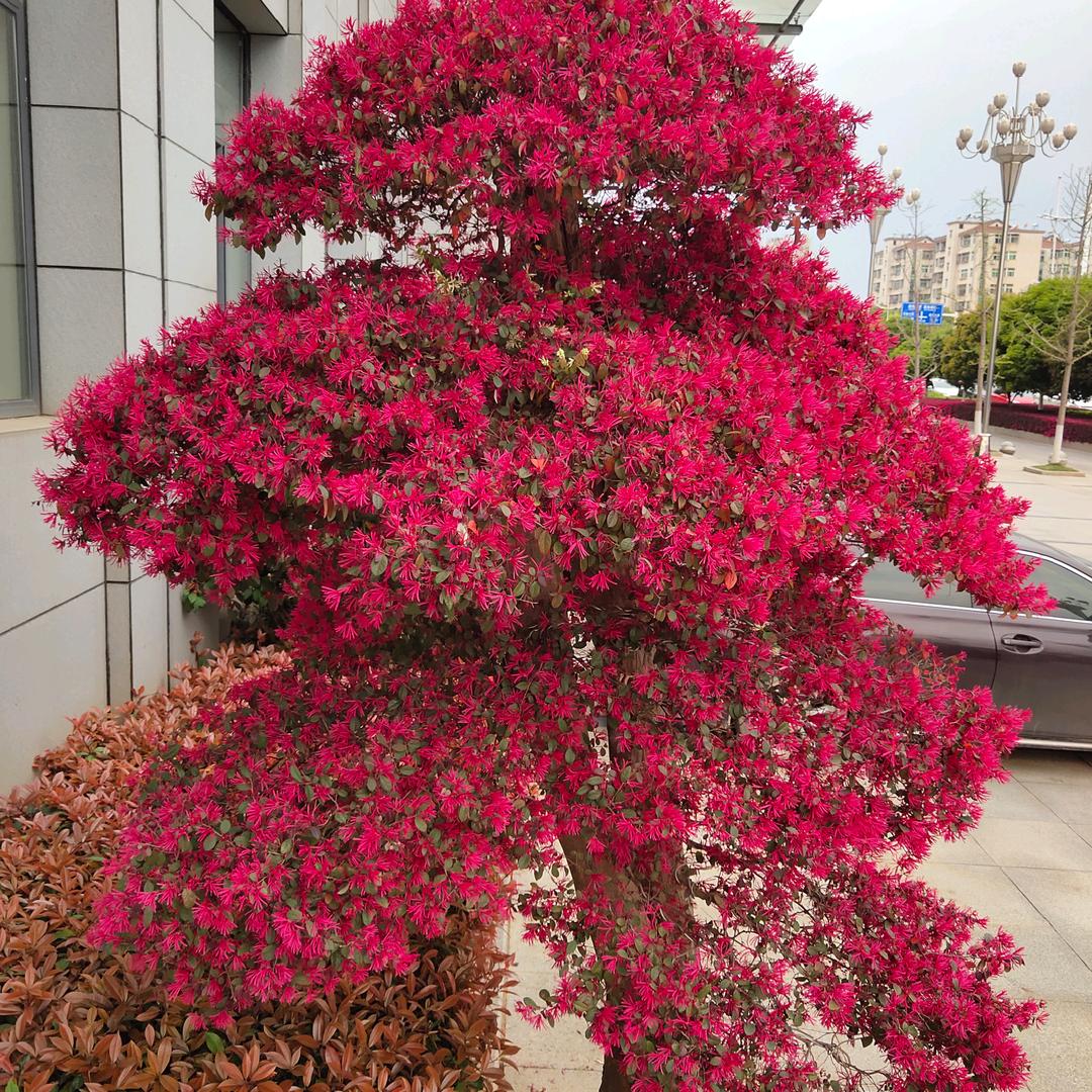 独特的温柔