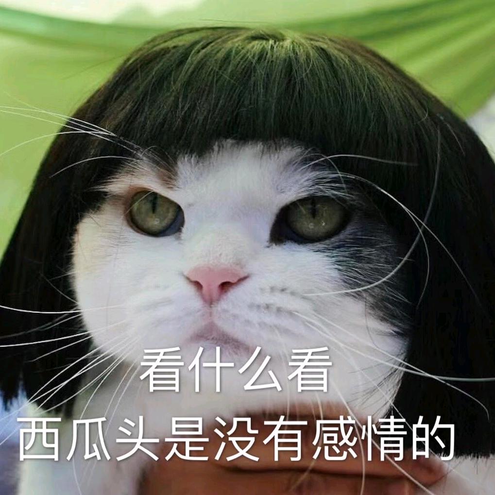 我没感情西瓜头