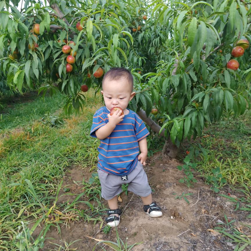 可乐农资好物推荐