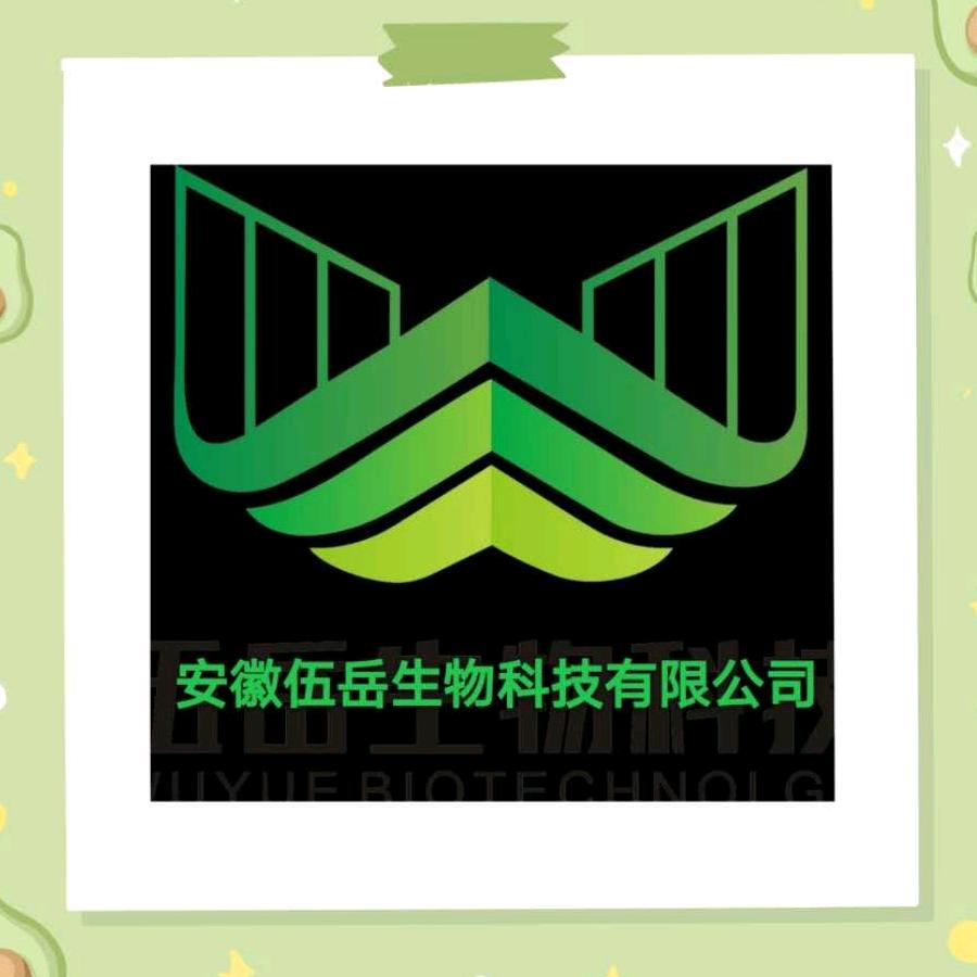 岳老师