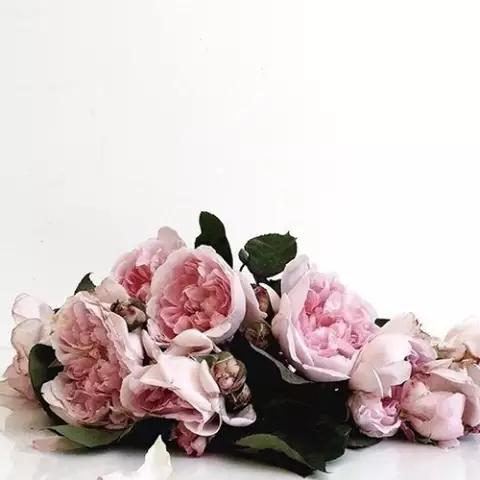 深秋