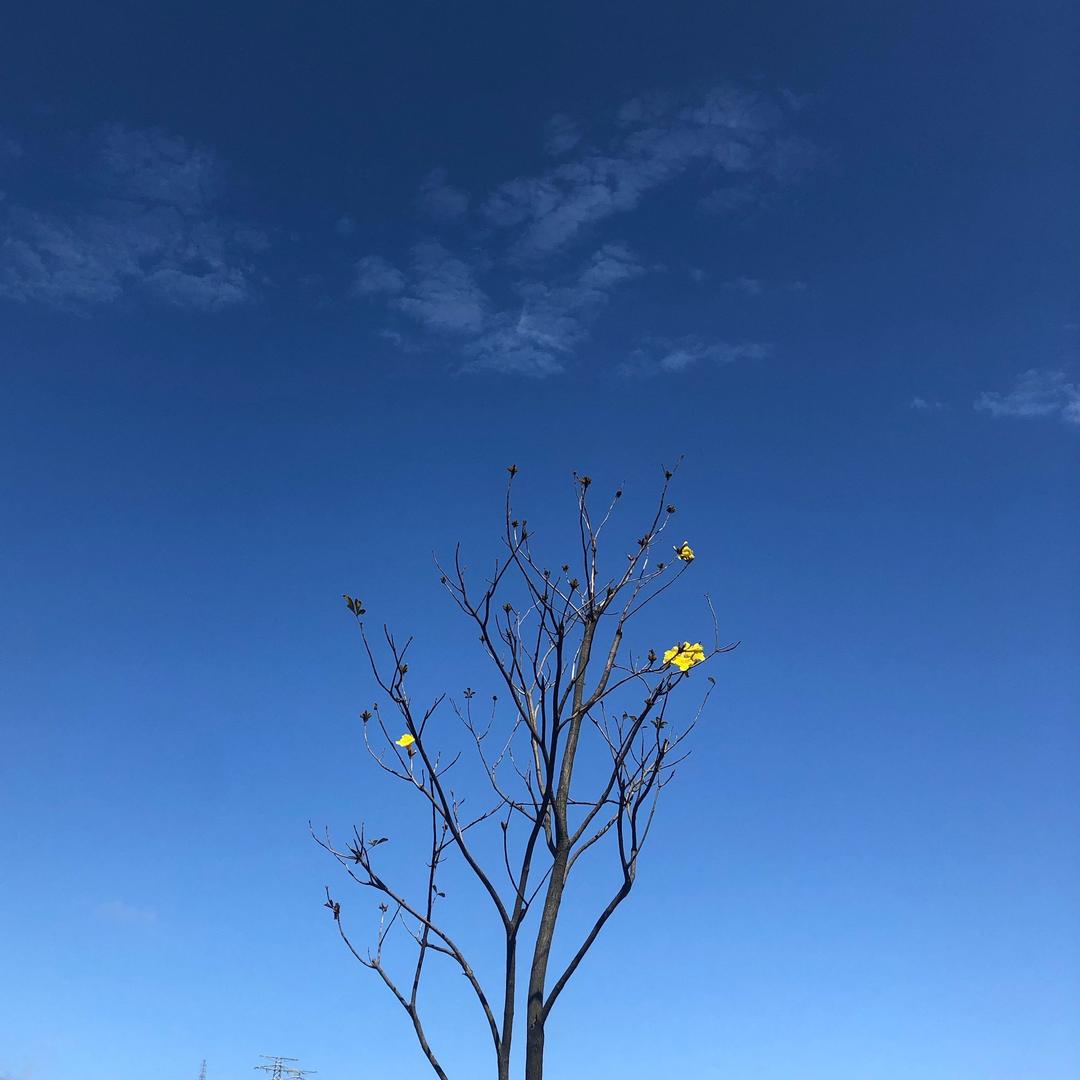 彭彭520