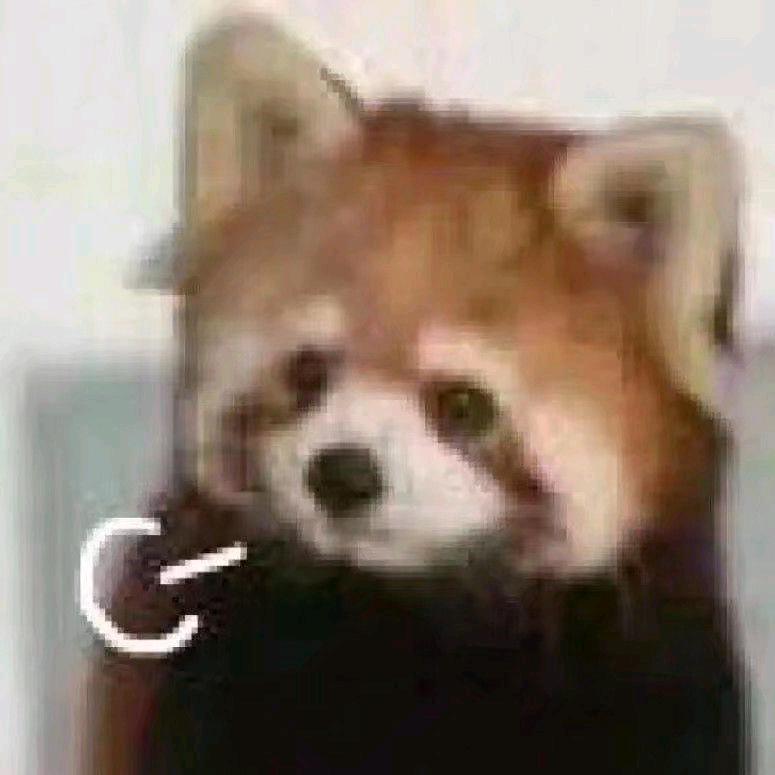 绵绵❁ฺ