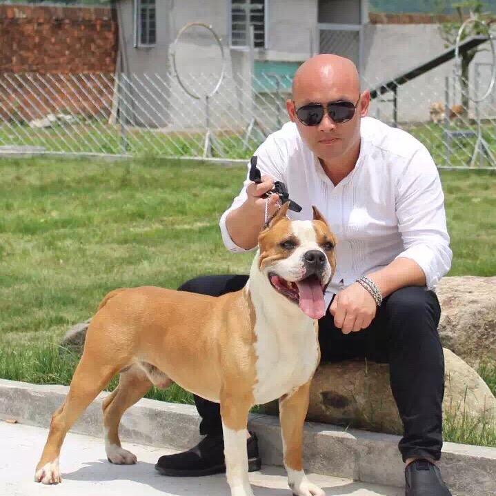 宠物寄养乐园—李君