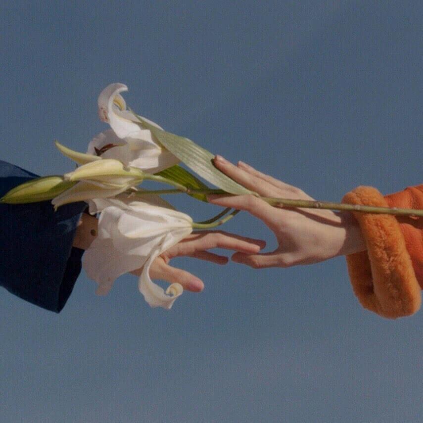 喜欢自由的小橙