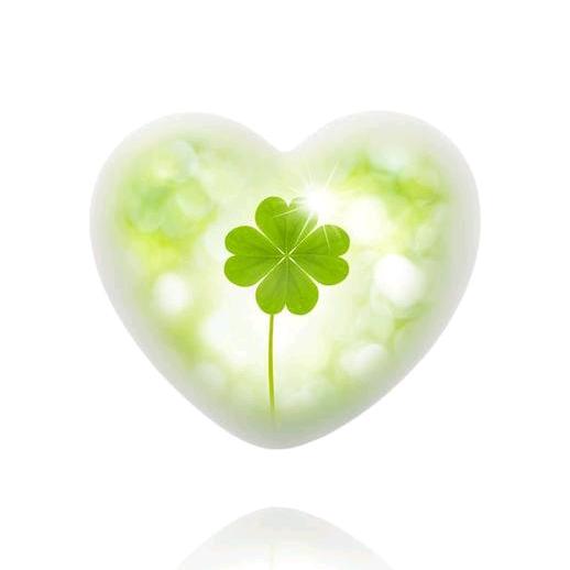 四葉草、守护婞諨