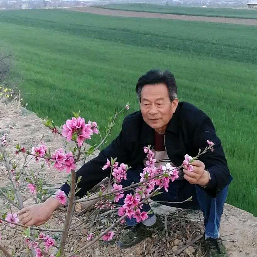 用户＜太扱＞宋