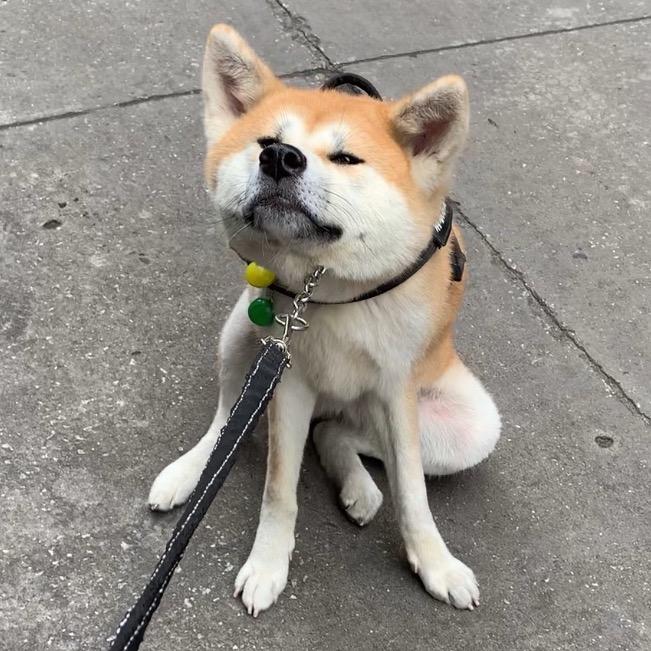 🇨🇳家有秋宝陈single