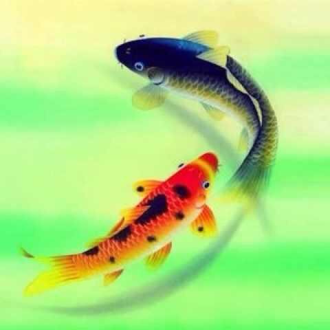 陕西人在日本