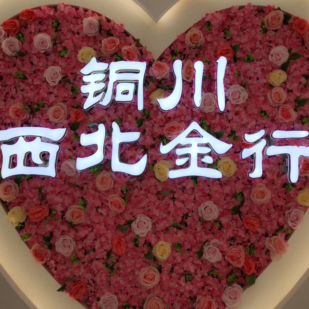 王益区  铜川西北金行