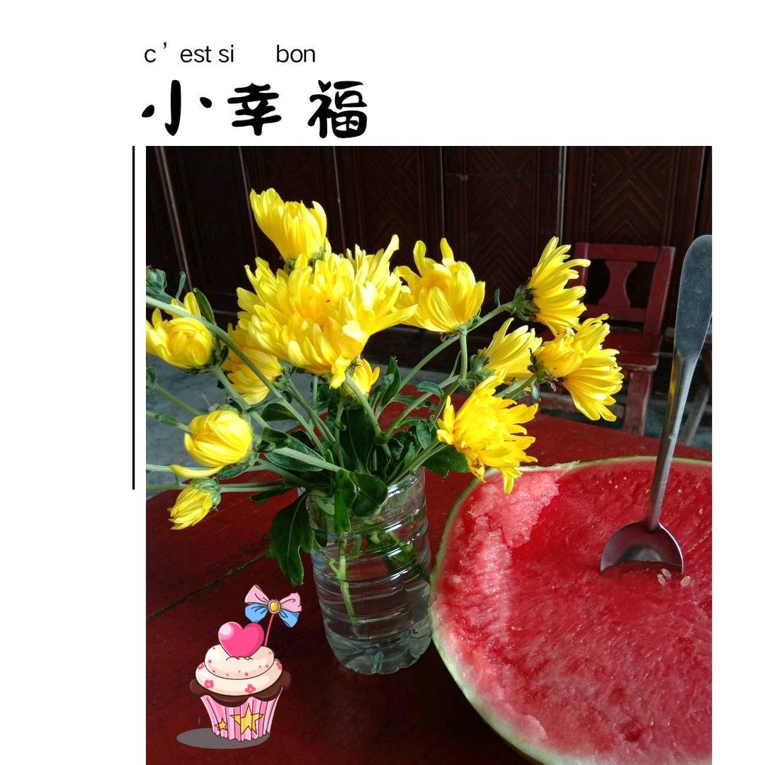 宇博