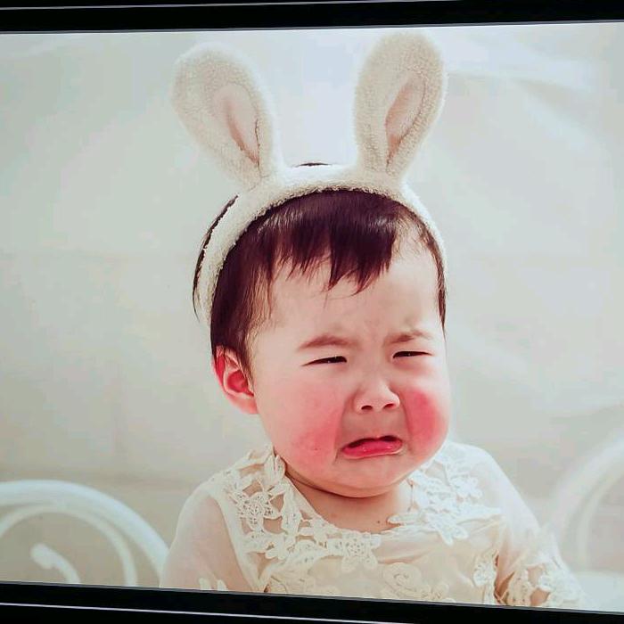 擎天小🐷
